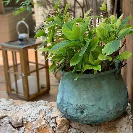 Apartamento Teraca