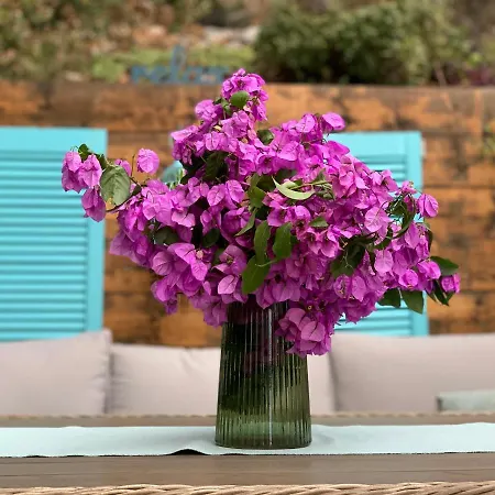 Appartement Teraca Dubrovnik